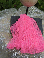African Net Sponges
