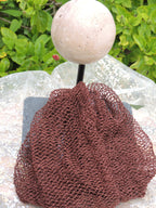African Net Sponges